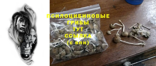 твердый Абаза