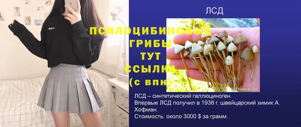 твердый Абаза