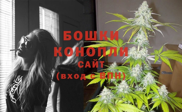 твердый Абаза