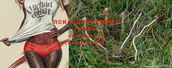крисы Абдулино