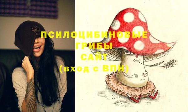 твердый Абаза